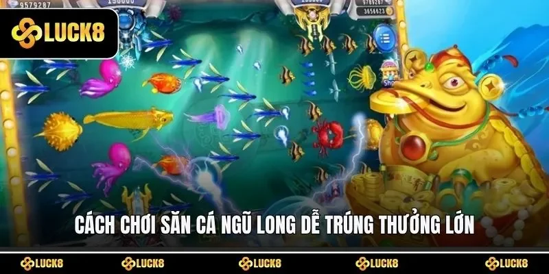 Cách chơi săn cá Ngũ Long dễ trúng thưởng lớn