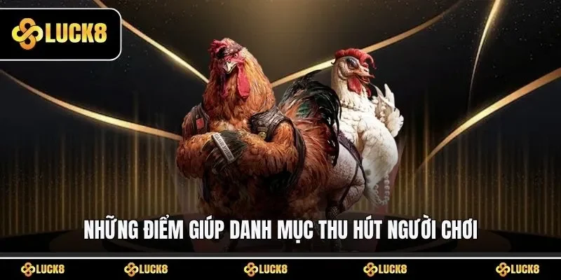 Những điểm giúp danh mục thu hút người chơi