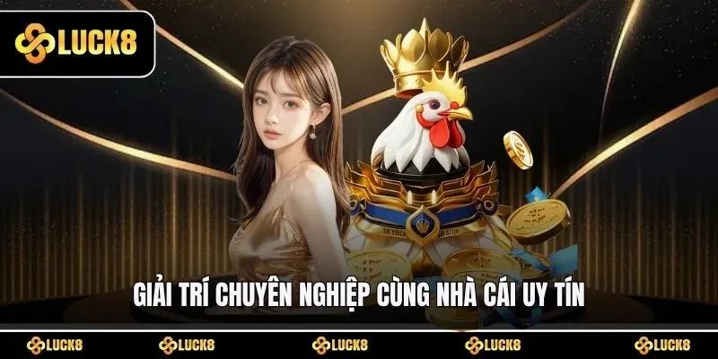 Giải trí chuyên nghiệp cùng nhà cái uy tín