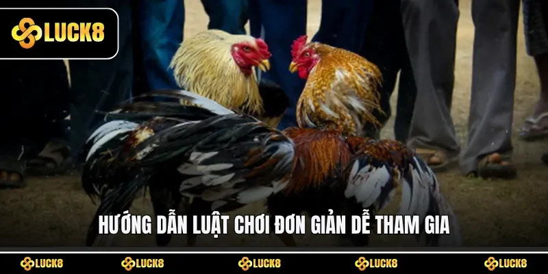 Hướng dẫn luật chơi đơn giản dễ tham gia