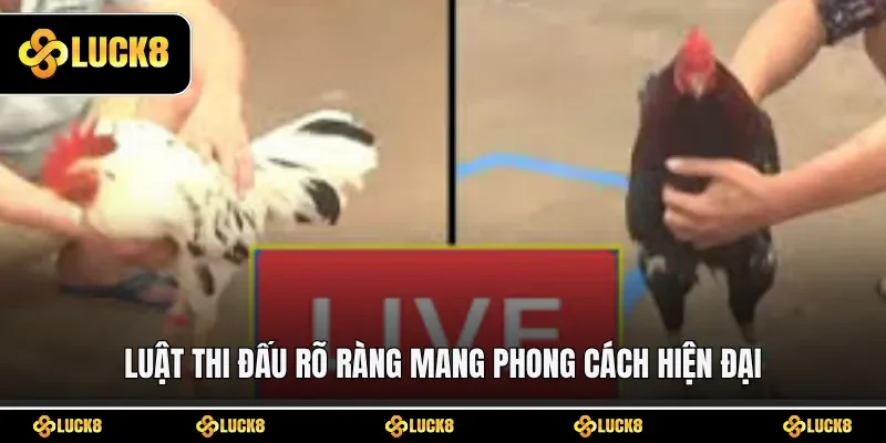 Luật thi đấu rõ ràng mang phong cách hiện đại