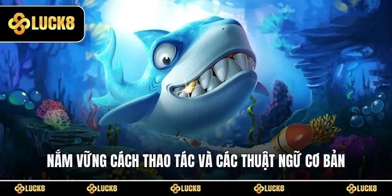 Nắm vững cách thao tác và các thuật ngữ cơ bản