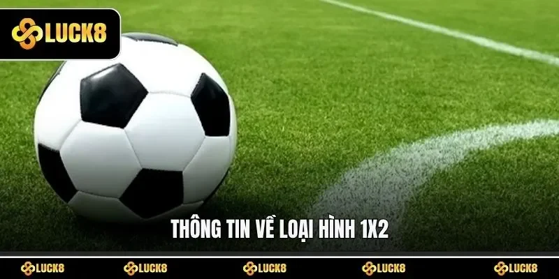 Thông tin về loại hình 1x2
