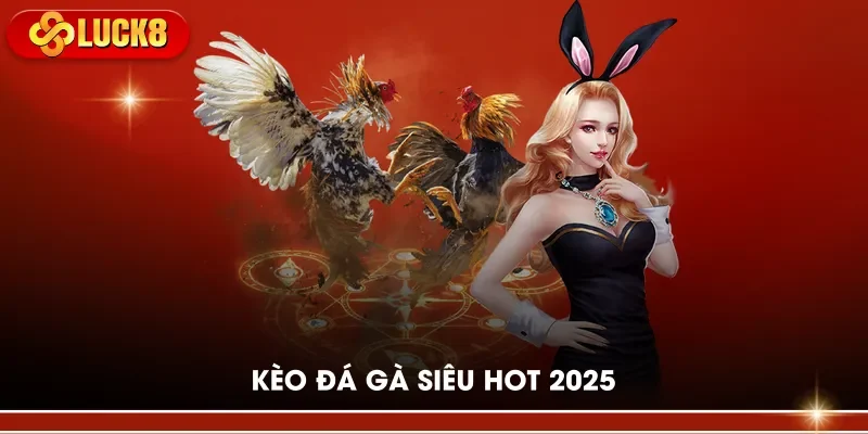 Kèo đá gà siêu hot 2025
