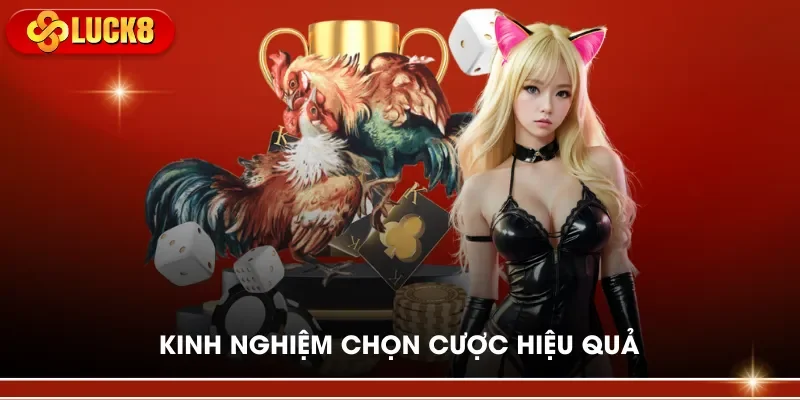 Kinh nghiệm chọn cược hiệu quả