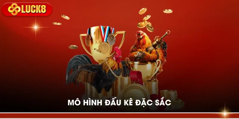 Mô hình đấu kê đặc sắc