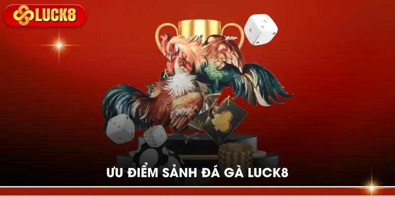 Ưu điểm sảnh đá gà LUCK8